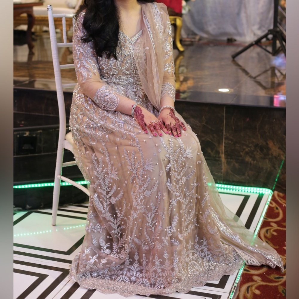 Elegant Silver Embroidered Dress